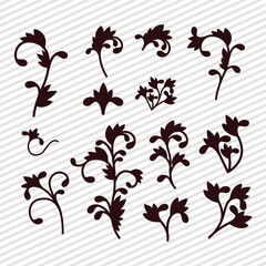 Silhouette decorative leaves elements set design of Ornament and best quality product theme Vector illustration