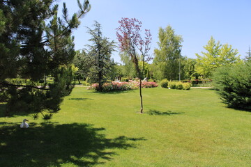 NationalPark, Park,
landscape, 
japanese garden, garden