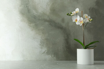 Artificial orchid plant in flower pot on light grey marble table. Space for text