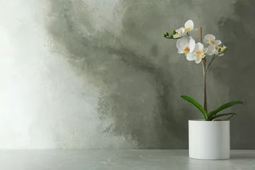 Keuken spatwand met foto Artificial orchid plant in flower pot on light grey marble table. Space for text © New Africa