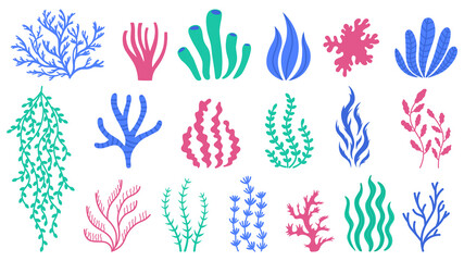 Sea corals. Underwater plants, hand drawn marine botanical seaweed, polyps and corals, sea flora vector illustration set. Ocean or aquarium coral and plant