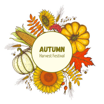 Pumpkin, sunflower, wheat and fall leaves bouquet. Circle label concept. Thanksgiving design template. Hello autumn. Harvest festival. Hand drawn frame with fall leaves, pumpkin. Vector illustration