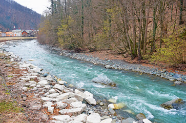 View of a mountain river in the forest