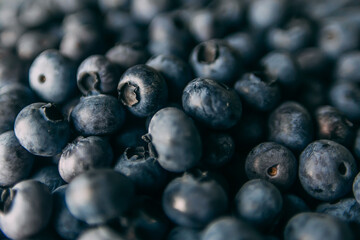 A lot of blueberries picked in forest. Close up background texture with summer fruits.