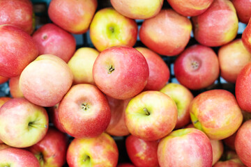 background of red apples on sale at the local market