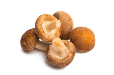 shiitake mushrooms isolated