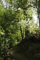 京都桂＆御所20150511