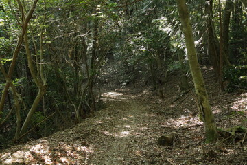 京都桂＆御所20150511