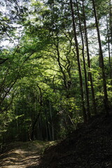 京都桂＆御所20150511