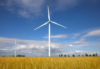Beautiful view of field with wind turbines. Alternative energy source