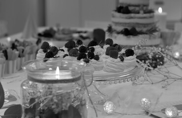 Love, friendship, surprise. Birthday congratulation. Beautiful decor, restaurant, ceremony. Baby shower cake and food. Baby shower celebration and catering. Festive table. Food Table. 