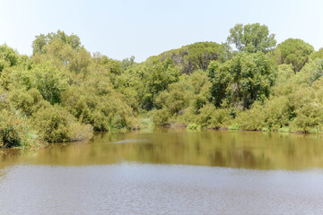 Landscape of the Donana National Park in Spain. Coastal area in southern Spain. Huelva, Andalusia, Spain.