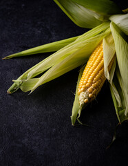 Raw ripe corn. Dark style