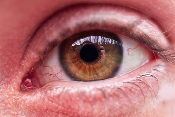 Ojo