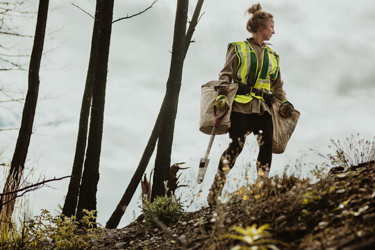 Female Planting Trees In Forest