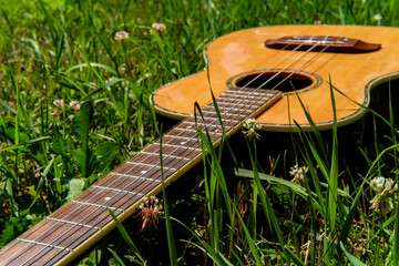 Baritone Ukulele Guitar Grass