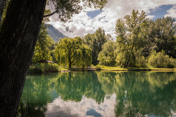 Fototapete bei efototapeten.de bestellen   