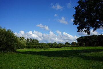 Obraz premium green field and blue sky