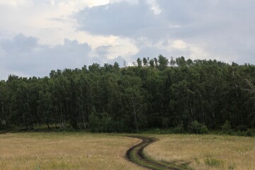 Fototapeta na wymiar The road through the field against a summer landscape