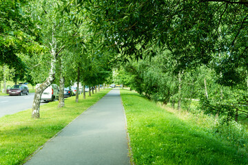 Fototapeta na wymiar walking in the park