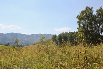 Beautiful summer landscape with fields of meadows and mountains