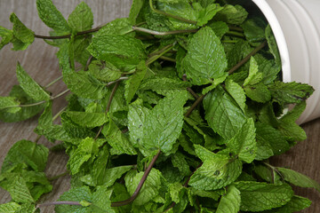 bouquet of fresh mint close up