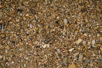 sea stone overgrown with mud, texture