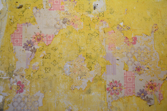 torn and worn out old wallpaper layers