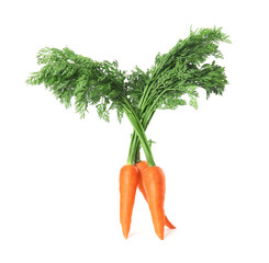 Fresh ripe juicy carrots isolated on white