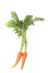 Fresh ripe juicy carrots isolated on white