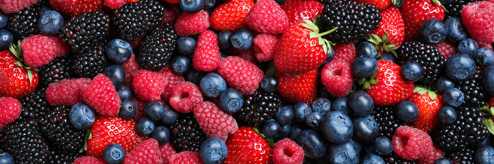 Mix of different fresh berries as background, banner design