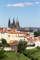 Obraz premium Prague City with gothic Castle and the green Nature from the Hill Petrin, Czech Republic