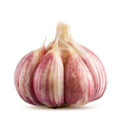 Garlic isolated on white background
