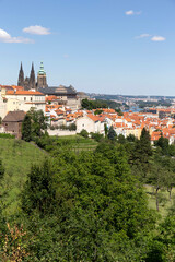 Obraz premium Prague City with gothic Castle and the green Nature from the Hill Petrin, Czech Republic