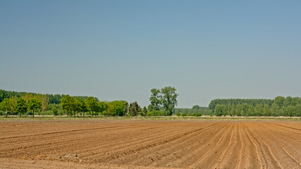 Fototapeta na wymiar Freshly ploughed spring farmland, surrounded by trees on a sunny day in the Flemish countryside, ready for sewing 