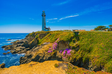 Fototapeta na wymiar Pigeon Point Lighthouse, Landmark of Pacific Coast Highway (Highway 1) at Big Sur, surrounded with colorful wildflowers in spring time, California