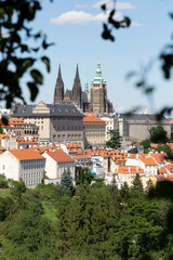 Obraz premium Prague City with gothic Castle and the green Nature from the Hill Petrin, Czech Republic