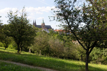 Fototapeta na wymiar Prague City with gothic Castle and the green Nature from the Hill Petrin, Czech Republic