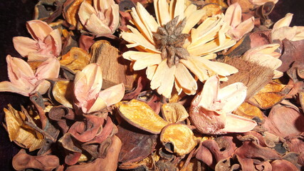 ARTIFICIAL NATURAL
