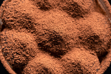 Tiramisu Dessert with Cinnamon, sprinkled with cocoa on top.