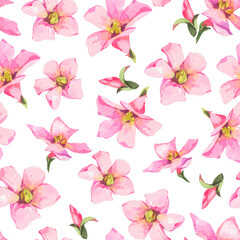 Fototapeta na wymiar Watercolor summer pink flowers seamless pattern