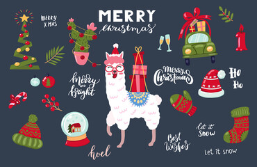 Hand drawn vector illustration of a cute funny llama with cactus gifts © anya