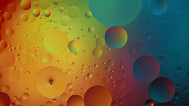Colorful Oil Bubbles. Water Multicolored Background