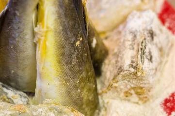Pieces of navaga fish in batter, prepared for frying in a pan.