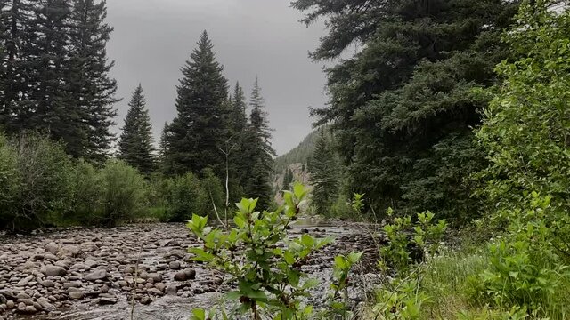 A sunset timelapse on a Colorado trout stream.