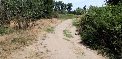 Fototapeta premium Natur