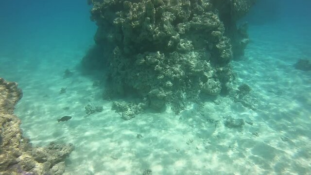 R&eacute;cif de corail &agrave; Rangiroa, Polyn&eacute;sie fran&ccedil;aise