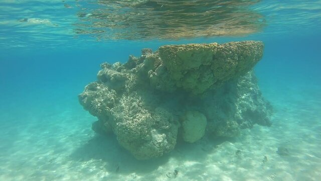 R&eacute;cif de corail &agrave; Rangiroa, Polyn&eacute;sie fran&ccedil;aise