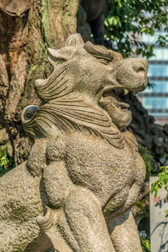 Komainu Lion-Dong Guardian of Kanda Myojin or Kanda Jinja. Shinto shrine located near Akihabara electric town, in Tokyo, Japan