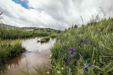 A person flying a kite in a pond